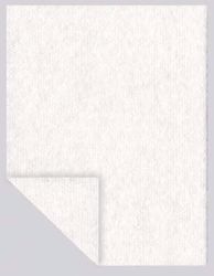 Picture of NUTRAMAX NON-ADHERENT PAD WITH ADHESIVE Non-Adherent Pad, 2" X 3", Bulk, 1800/Cs