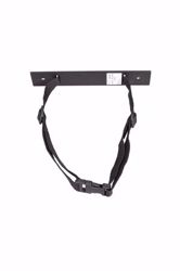 Picture of BD SHARPS COLLECTOR ACCESSORIES Quick Release Strap Bracket For 3.3 Qt Thru 5 Gal Collector, 12/Cs (Continental US Only)