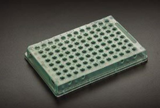 Picture of SIMPORT AMPLATE™ 96 - WELL THIN-WALLED PCR PLATES 96 Thin Walled PCR Plate, 0.2Ml, Natural, 10/Bg, 10 Bg/Cs