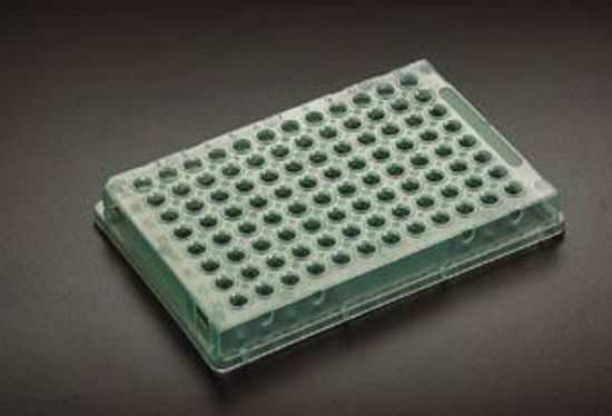 Picture of SIMPORT AMPLATE™ 96 - WELL THIN-WALLED PCR PLATES 96 Thin Walled PCR Plate, 0.2Ml, Blue, 10/Bg, 10 Bg/Cs