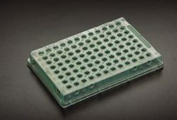 Picture of SIMPORT AMPLATE™ 96 - WELL THIN-WALLED PCR PLATES 96 Thin Walled PCR Plate, 0.2Ml, Green, 10/Bg, 10 Bg/Cs
