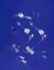Picture of EXEL HUBER NEEDLES Huber Needle, 20G X 2", Straight, 50/Bx