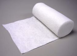 Picture of TEX-CARE MEDICAL RAYON CAST PADDING Cast Padding, Rayon, 3" X 4 Yds, 12/Bg, 6 Bg/Cs