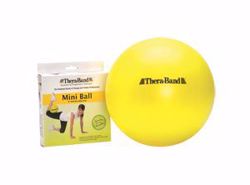 Picture of HYGENIC/THERA-BAND PRO SERIES SCP™ EXERCISE BALLS PRO SERIES SCP ™ Ball, 75Cm / Blue, For Body Height 6'2"-6'8" (188-203Cm), Bulk Case Pks Of 10 Balls In Poly-Bags With 10 Instructional Poster, 10 Ea/Cs (020709) (US Only)