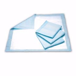 Picture of UNDERPAD SELECT 22.5"X30" (3 0/BG 5BG/CS)