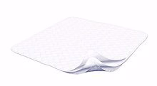 Picture of PROTECTOR SEAT WASHABLE QUILTED COTTON 23X35 (12/CS)