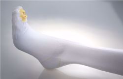Picture of STOCKING ANTI-EMB KNEE NYLON WHT REG XSM (12PR/CS)