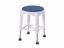 Picture of CHAIR SHOWER W/SWIVEL SEAT (4/CS)