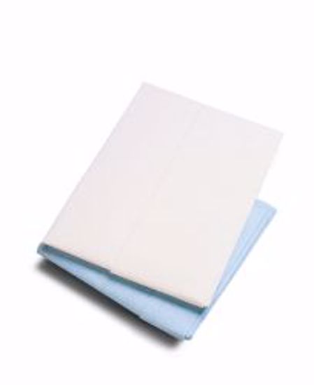 Picture of SHEET DRAPE 2PLY ECON WHT 40X48 (100/CS)