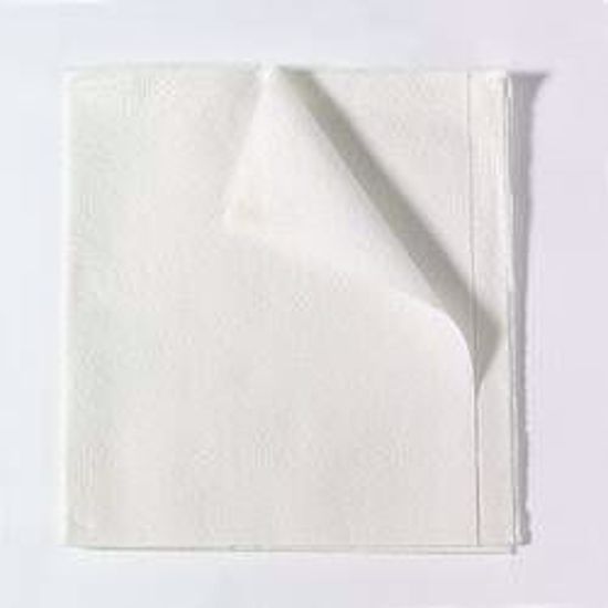 Picture of SHEET DRAPE 2PLY ECON WHT 40X48 (100/CS)