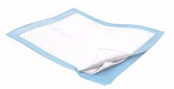 Picture of UNDERPAD WINGS FLUFF LT BLU 23"X24" (10/PK 20PK/CS)