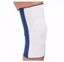 Picture of KNEE SUPPORT LITES VISCO LG