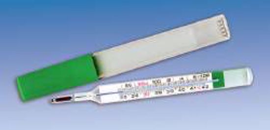 Picture of THERMOMETER MERCURY FREE (100/CS)