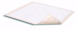 Picture of UNDERPAD NIGHT PRSRV W/POLYMER 30"X36"(10/PK 10PK/CS)