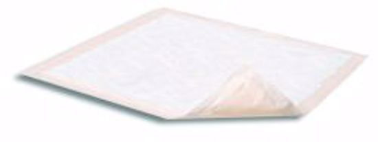 Picture of UNDERPAD NIGHT PRSRV W/POLYMER 30"X36"(10/PK 10PK/CS)