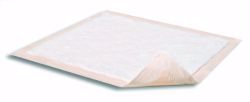 Picture of UNDERPAD DRI-SORB ADV W/POLYMER 23"X36" (10/PK 15PK/CS)