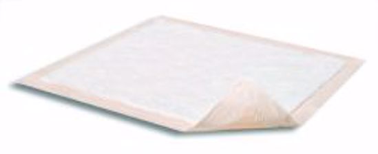Picture of UNDERPAD DRI-SORB ADV W/POLYMER 23"X36" (10/PK 15PK/CS)
