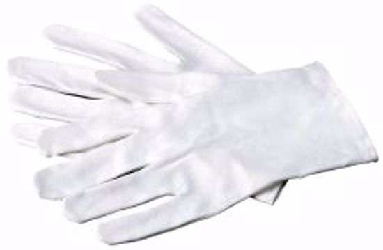 Picture of GLOVE INFECTION CNTRL SOFT HANDS CTN LG (6PR/CS)