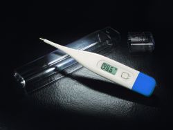Picture of THERMOMETER DIG ORAL BULK LF (25/BX)