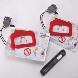 Picture of REPLACEMENT KIT F/CHARGER PAKW/1SET OF ELECTRODE