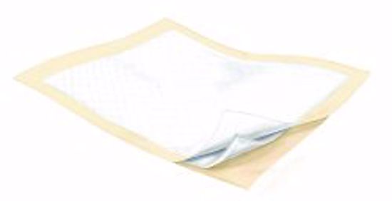 Picture of UNDERPAD POLY 28X36 (24/BG 3BG/CS) KENICO