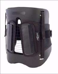Picture of BACK BRACE DONJOY LP CHAIRBACK LG