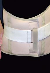 Picture of LUMBAR SUPPORT W/STAYS XLG EC