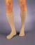 Picture of STOCKING VASC KNEE HI XLG 20-30MMHG BGE