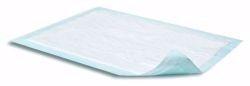 Picture of UNDERPAD AIR-DRI BRTHABL MOD 23X36" (10/PK)