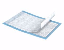 Picture of UNDERPAD HARMONIE BGE 36"X36"(10/BG 10BG/CS)