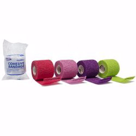 Picture of BANDAGE COHESIVE 2" N/S ASTD (36RL/BX)