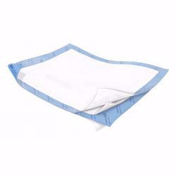 Picture of UNDERPAD QUILTED CLOTH-LIKE WINGS 30X36" (10/BG 4BG/CKENICO