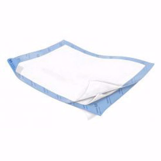 Picture of UNDERPAD QUILTED CLOTH-LIKE WINGS 30X36" (10/BG 4BG/CKENICO