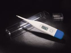 Picture of THERMOMETER DIG ORAL LF (12/BX)
