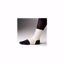 Picture of ANKLE SUPPORT PULLOVER ELAS WHT MED 9.5-11