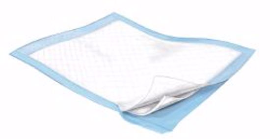 Picture of UNDERPAD MAXIMA 30X30 (10/BG8BG/CS)