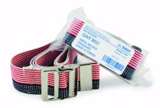 Picture of BELT GAIT STARS & STRIPES W/METAL BUCKLE 60" (48/