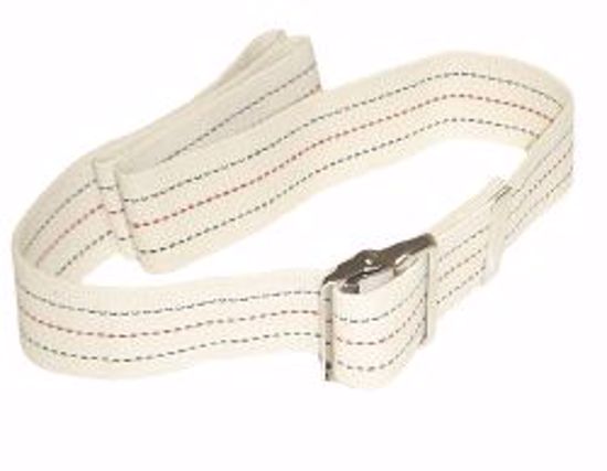 Picture of BELT GAIT W/METAL BUCKLE 54