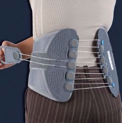 Picture of SPINE BRACE LG