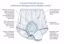 Picture of BRIEF INCONTINENCE HEALHDRI REUSE MEN HVY SM