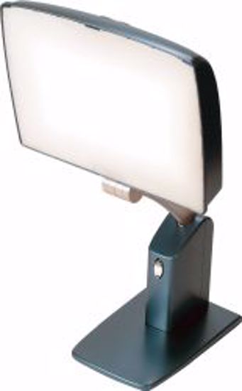 Picture of LIGHT F/EVERYDAY TASK LIGHT SKY HT ADJ