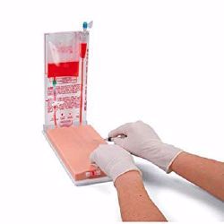 Picture of TRAINER VENIPUNCTURE 4-VEIN