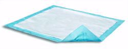 Picture of UNDERPAD DISPOSABLE DRI-SORB (10/BG 12BG/CS)