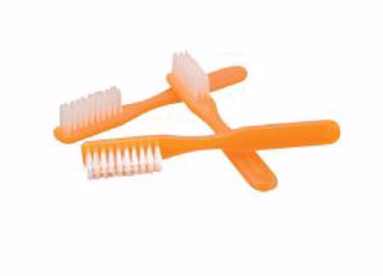 Picture of TOOTHBRUSH TUFT NYLON SM ORG (144/BX 10BX/CS)