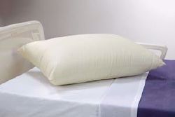 Picture of PILLOW NYLON 21X27 BEIGE 12/CS