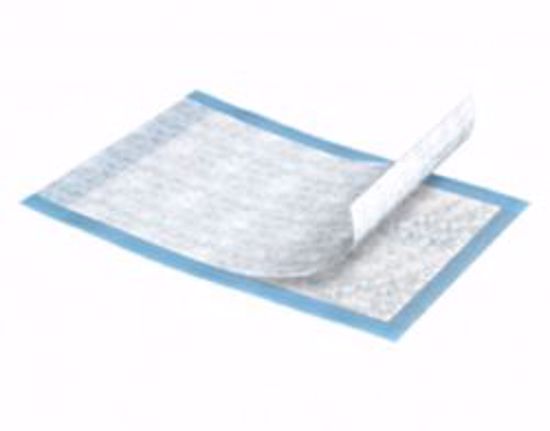 Picture of UNDERPAD LARGE BULK 30"X30" (15/PK 10PK/CS)