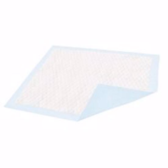 Picture of UNDERPAD DIGNITY BCKSHT GRN (15/BG 10BG/CS)