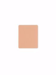 Picture of DRESSING FOAM RESTORE SILICONE W/O BORDER 4"X5" (10/BX)