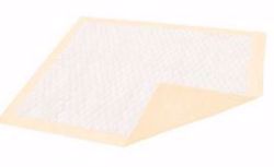 Picture of UNDERPAD ULTRASHIELD PLUS 30X36 PEACH (10/PK 10PK/CS)